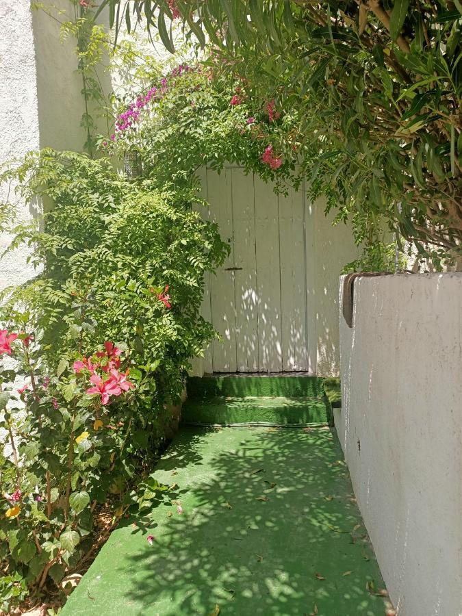 Wonderful Seaviews Only Adults Apartamento Altea Exterior foto
